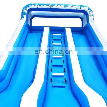 Dolphin Theme Inflatable Double Water Slide With Pool photo-3