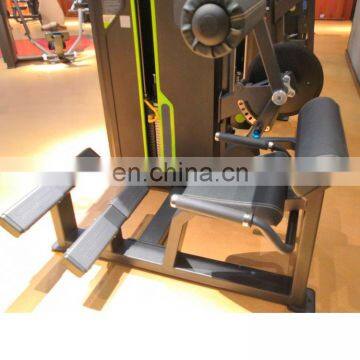 High Quality Commercial Bodybuilding Pin Load Fitness Equipment Back Extension for Club Training With Cheap Price