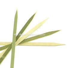 flat bamboo skewers wide large 14inch chicken shish kabob natural barbecue bamboo sticks kabob grill skewers