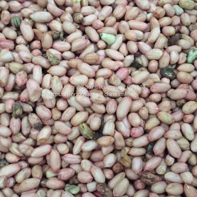 Henning Saint Peanut Color Sorter photo-3