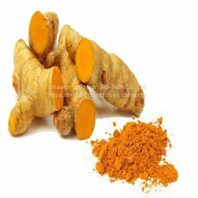 Turmeric root extract, Curcuma longa Extract, Curcumin 95% HPLC, CAS No.: 458-37-7, WATER SOLUBLE Curcumin