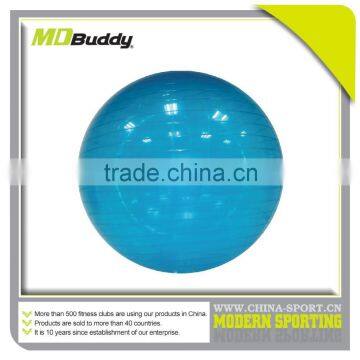 Gym Fitness 85CM Anti Burst Oval Gym Ball photo-3