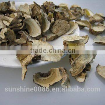 Dry Wild Mushrooms Large Edible BOLETE Mushroom photo-4