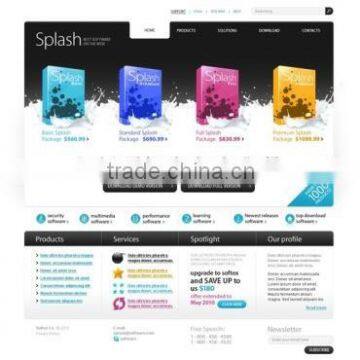 Software Development Custom photo-4