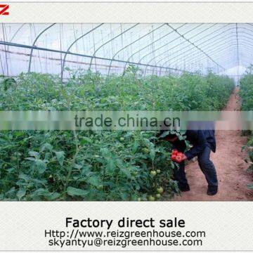 Cheap greenhouse for agriculture