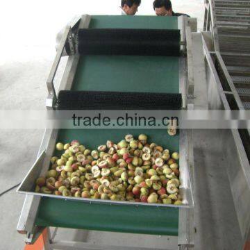 Automatic peach flap turnover machinery