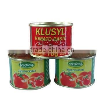 tomato paste 70g*50 tins ,easy open lid &hard open lid canned tomato paste to Africa market