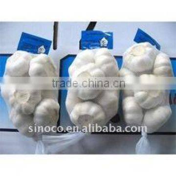 Garlic From China