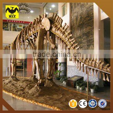 HLT Indoor 2015 dinosaur skeleton model