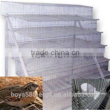 full automatic quail farming cages