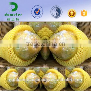 FDA Approval Food Grade Free Sample EPE Foam Elastic Vegetable Mesh Net