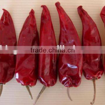 chili variety yidu with high quality for sale