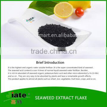 china best supplier seaweed fertilizer