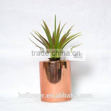 Artificial succulent plant with ceramic for home decoration