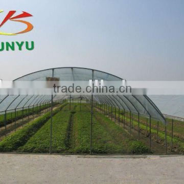 plastic tunnel greenhouse for vegetable