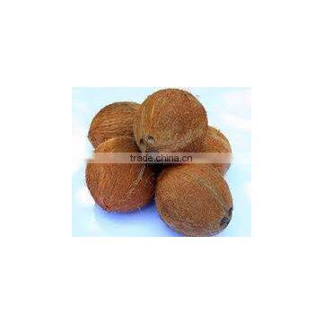 Semi Husked Cocount Good Qualityl photo-4