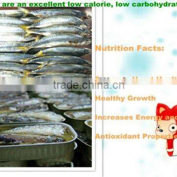 2014 New Top Quality Canned Mackerel Fish in Vegetable Oil BRC,FDA,HACCP Certification