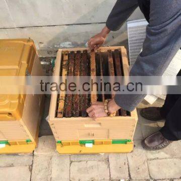 Multifunctional Langstroth Plastic Bee Hive photo-6