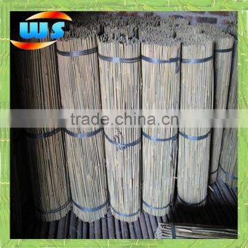 Support grape growing long bamboo canes