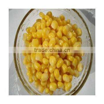Yellow Corn for Sale