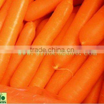 dried carrot