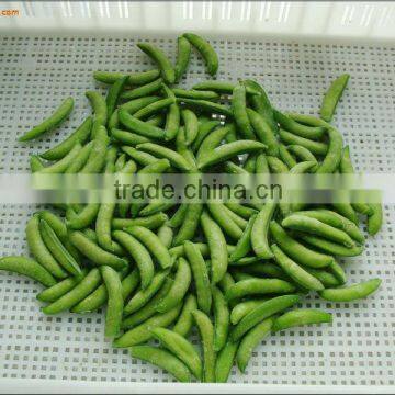 Green Peas Frozen To Sell photo-6