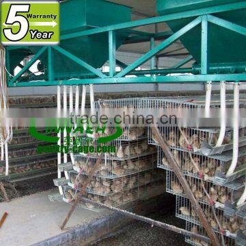 commercial quail cage for sale