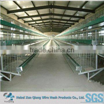 galvanized metal chicken layer cage for poultry farm design