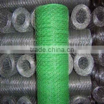 PVC Coated Glavanized aviary net/galvanized aviary wire