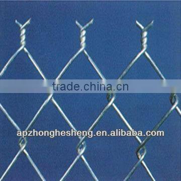 chain link mesh for the basketball court