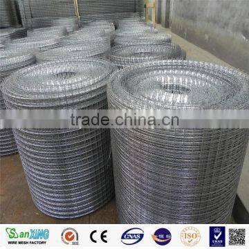 Galvaized/PVC Coated Welded Wire Mesh 1Inch*1Inch photo-6
