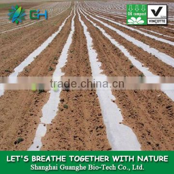 High quality agricultural film/Compostable transparent plastic film