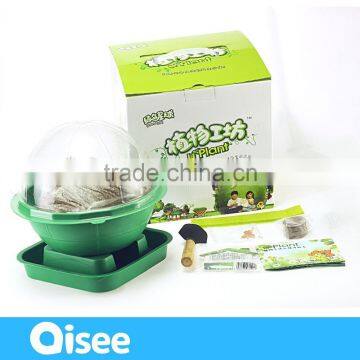 Hydroponic Planting Set for Kids Learning- Biology Lab Kit photo-3