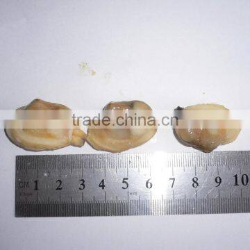 CLAM MEAT IQF SHORT NECKED CLAM MEAT PRODUCTS photo-2
