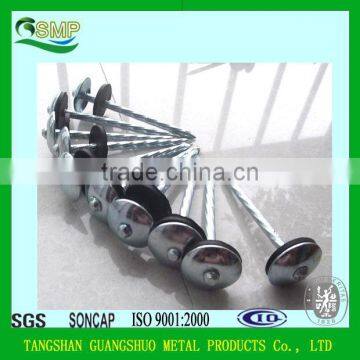 Umbrella Head Plain and Twisted Galvanized Roofing Nail