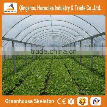 Heracles Economical Plastic Commercial Low Cost Multi Span Plastic Greenhouses With Automatic Irrigation System photo-2