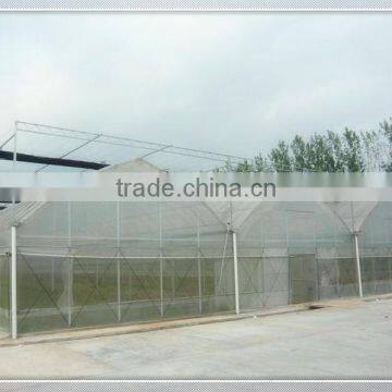 Hot sale film vegetable greenhouse with insect proof screen