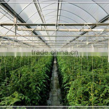 Long Life Multi Span Plastic Film Greenhouse for Hydropnonic Agriculture photo-2
