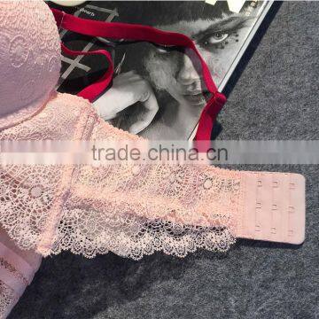 Ladis and Penty Sexy Design Lace Bra Set photo-4