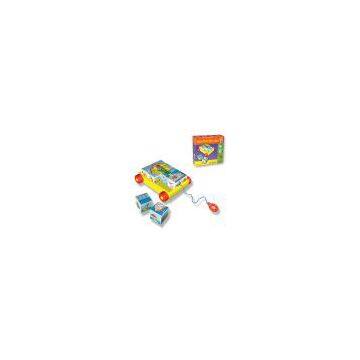 Turkey Educational Play Cubes