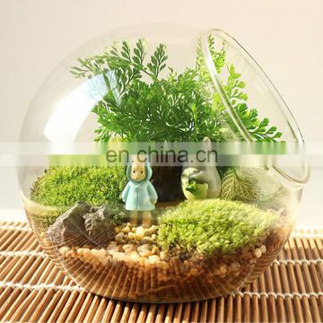 terrarium glass terrarium round clear glass globe ball terrarium Planters Container Glass Flower Vase