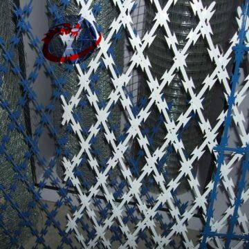 Cheap Galvanized Razor Barbed Wire photo-4