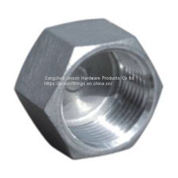 HEXAGON HEAD CAP  Stainless Steel Hexagon Plug wholesale
