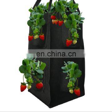 Breathable Felt Garden Grow Bags for Strawberry Growing photo-5