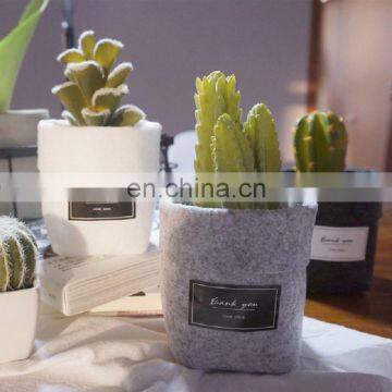 Factory OEM Product Grow Bags photo-3