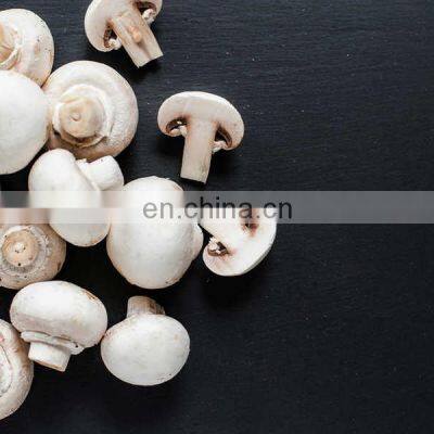 Good Price Mushrooms Pickled From Vietnam photo-3