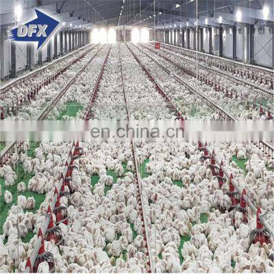 Steel Beam Structural Workshop Cabinet Cheap Warehouse Steel Chicken Houses for Sale photo-2