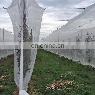 Transparentes landwirtschaftliches Insektengitter 40x25 50x25, Insektenschutzgitter photo-5