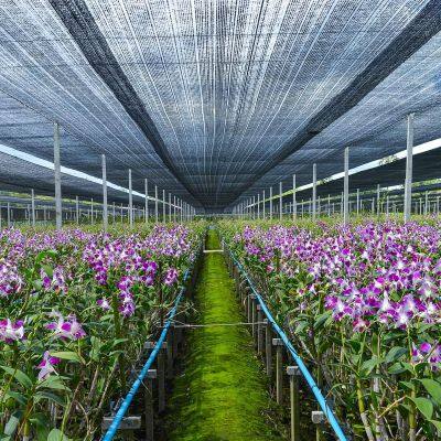 Agriculture Use Low Price Shade Net HDPE Material Sunshade Netting With UV Resistance photo-5
