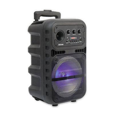 SING-E ZQS8109 8 Inch Outdoor Trolley Portable Sound Box Dj Sound Speakers with Colorful RGB Lights Karaoke Speaker